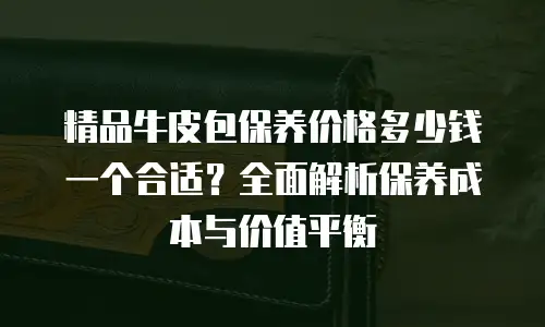 精品牛皮包保养价格多少钱一个合适？全面解析保养成本与价值平衡