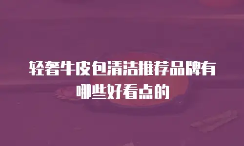 轻奢牛皮包清洁推荐品牌有哪些好看点的