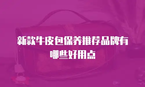 新款牛皮包保养推荐品牌有哪些好用点