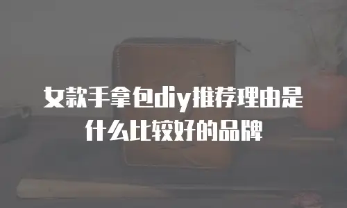 女款手拿包diy推荐理由是什么比较好的品牌