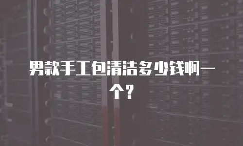 男款手工包清洁多少钱啊一个？