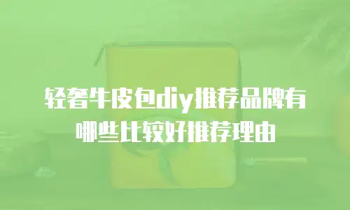 轻奢牛皮包diy推荐品牌有哪些比较好推荐理由