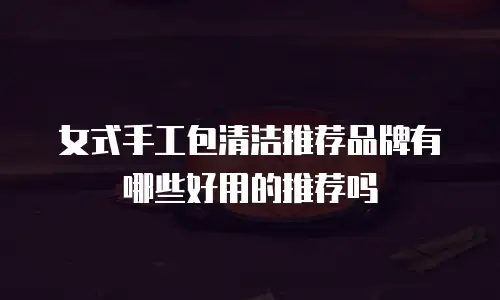 女式手工包清洁推荐品牌有哪些好用的推荐吗