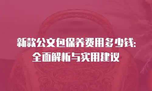 新款公文包保养费用多少钱：全面解析与实用建议