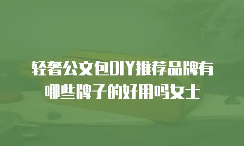 轻奢公文包DIY推荐品牌有哪些牌子的好用吗女士