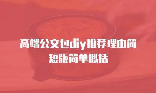 高端公文包diy推荐理由简短版简单概括