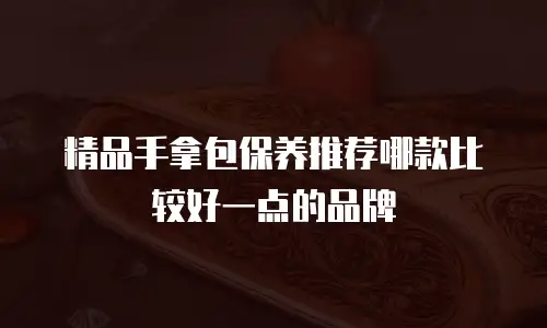 精品手拿包保养推荐哪款比较好一点的品牌