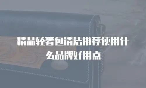 精品轻奢包清洁推荐使用什么品牌好用点