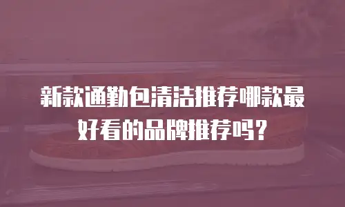 新款通勤包清洁推荐哪款最好看的品牌推荐吗？