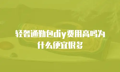 轻奢通勤包diy费用高吗为什么便宜很多