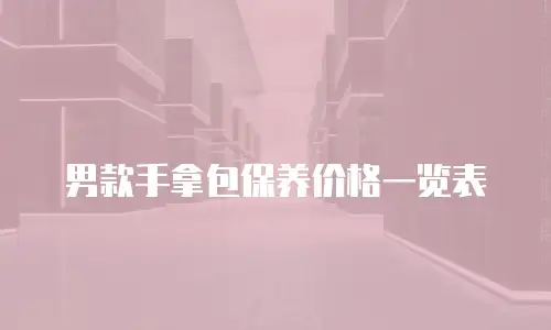 男款手拿包保养价格一览表