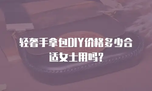 轻奢手拿包DIY价格多少合适女士用吗？