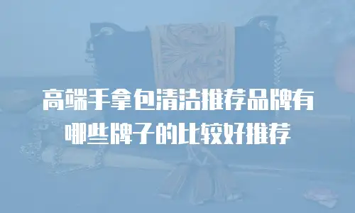 高端手拿包清洁推荐品牌有哪些牌子的比较好推荐