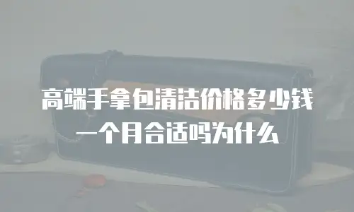 高端手拿包清洁价格多少钱一个月合适吗为什么