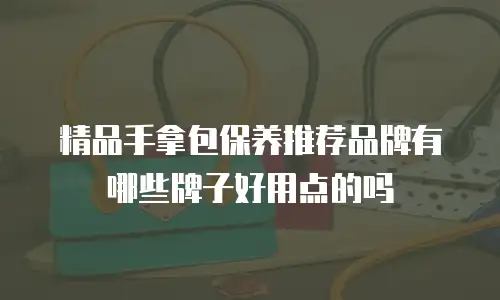 精品手拿包保养推荐品牌有哪些牌子好用点的吗