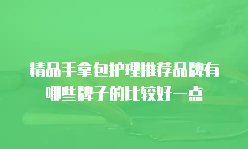 精品手拿包护理推荐品牌有哪些牌子的比较好一点