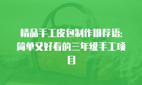 精品手工皮包制作推荐语：简单又好看的三年级手工项目