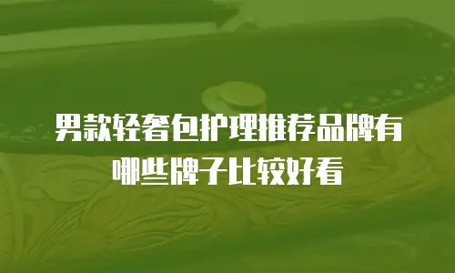 男款轻奢包护理推荐品牌有哪些牌子比较好看