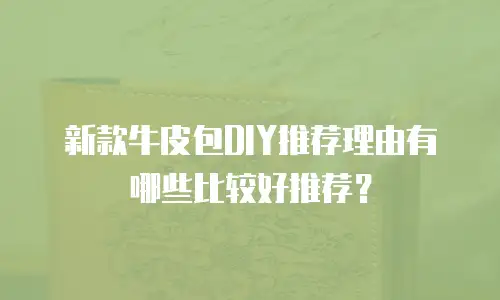 新款牛皮包DIY推荐理由有哪些比较好推荐？