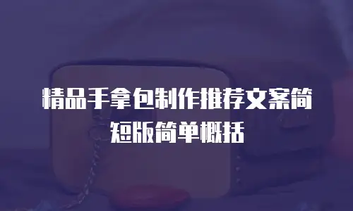 精品手拿包制作推荐文案简短版简单概括