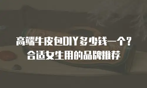 高端牛皮包DIY多少钱一个？合适女生用的品牌推荐
