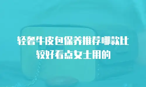 轻奢牛皮包保养推荐哪款比较好看点女士用的