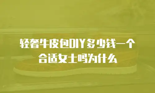 轻奢牛皮包DIY多少钱一个合适女士吗为什么