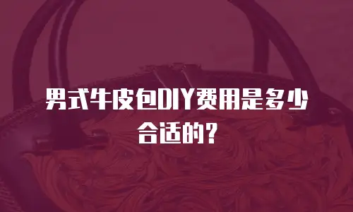 男式牛皮包DIY费用是多少合适的？