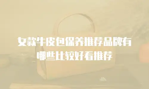 女款牛皮包保养推荐品牌有哪些比较好看推荐