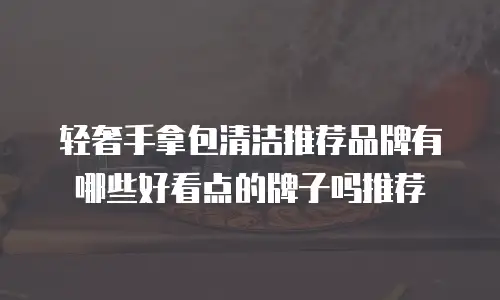 轻奢手拿包清洁推荐品牌有哪些好看点的牌子吗推荐