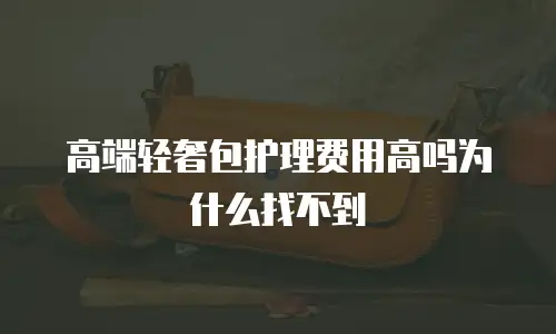 高端轻奢包护理费用高吗为什么找不到