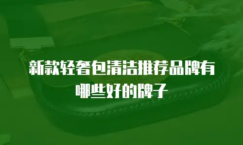 新款轻奢包清洁推荐品牌有哪些好的牌子