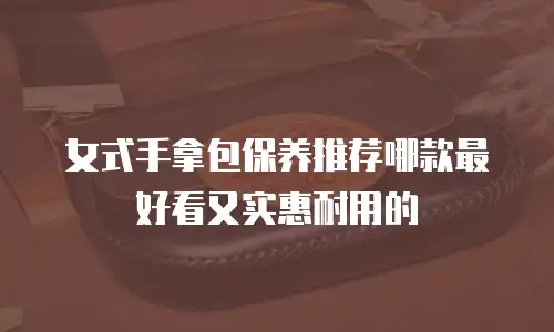 女式手拿包保养推荐哪款最好看又实惠耐用的