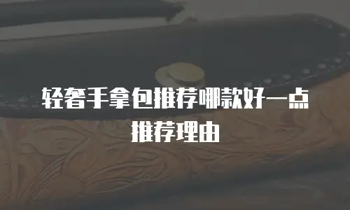 轻奢手拿包推荐哪款好一点推荐理由