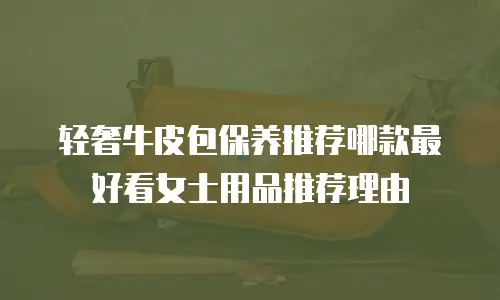 轻奢牛皮包保养推荐哪款最好看女士用品推荐理由