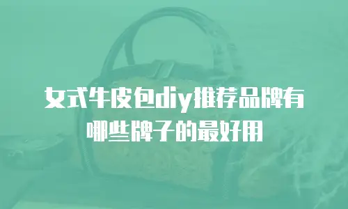 女式牛皮包diy推荐品牌有哪些牌子的最好用
