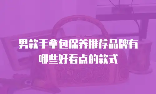 男款手拿包保养推荐品牌有哪些好看点的款式