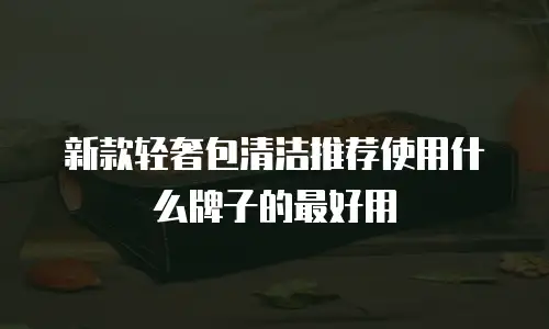 新款轻奢包清洁推荐使用什么牌子的最好用