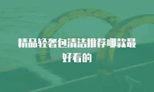 精品轻奢包清洁推荐哪款最好看的