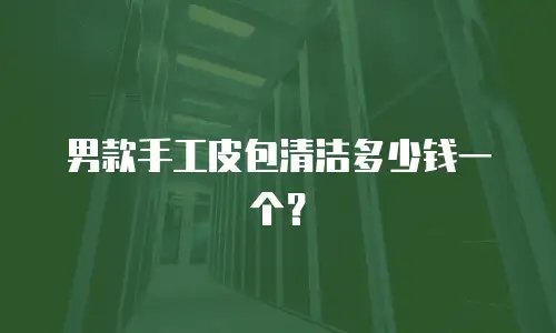 男款手工皮包清洁多少钱一个？