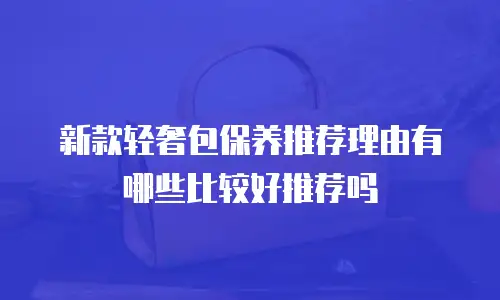 新款轻奢包保养推荐理由有哪些比较好推荐吗