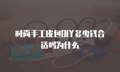 时尚手工皮包DIY多少钱合适吗为什么