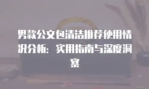 男款公文包清洁推荐使用情况分析：实用指南与深度洞察