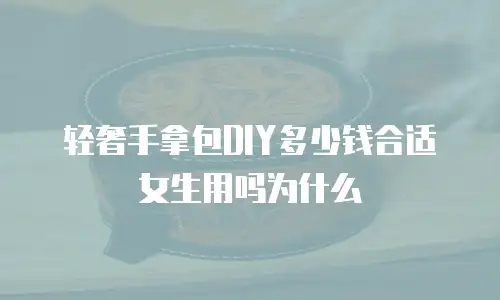轻奢手拿包DIY多少钱合适女生用吗为什么