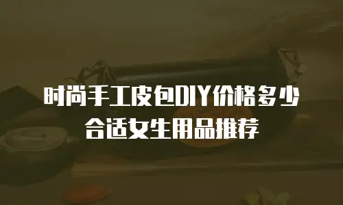 时尚手工皮包DIY价格多少合适女生用品推荐