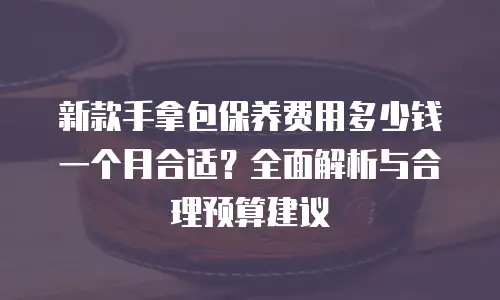 新款手拿包保养费用多少钱一个月合适？全面解析与合理预算建议