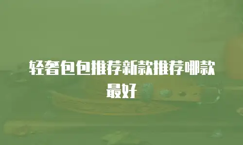 轻奢包包推荐新款推荐哪款最好