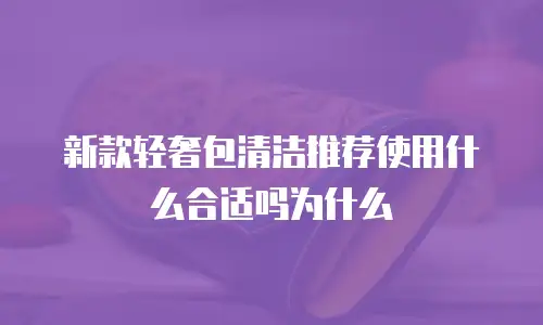 新款轻奢包清洁推荐使用什么合适吗为什么