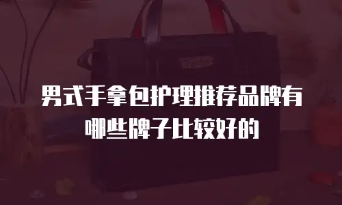 男式手拿包护理推荐品牌有哪些牌子比较好的