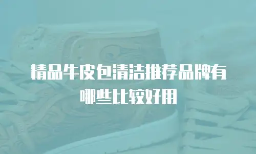 精品牛皮包清洁推荐品牌有哪些比较好用